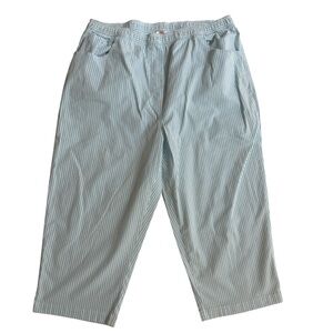Quacker Factory Pants Womens Blue and White Striped Seersucker Gingham Pants 1X‎